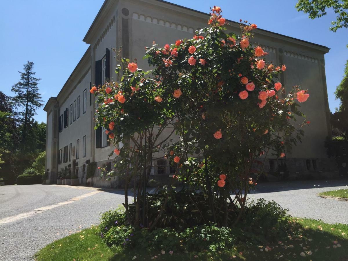 Blue Flat By Grazrentals Best Location & Free Parking Exterior photo